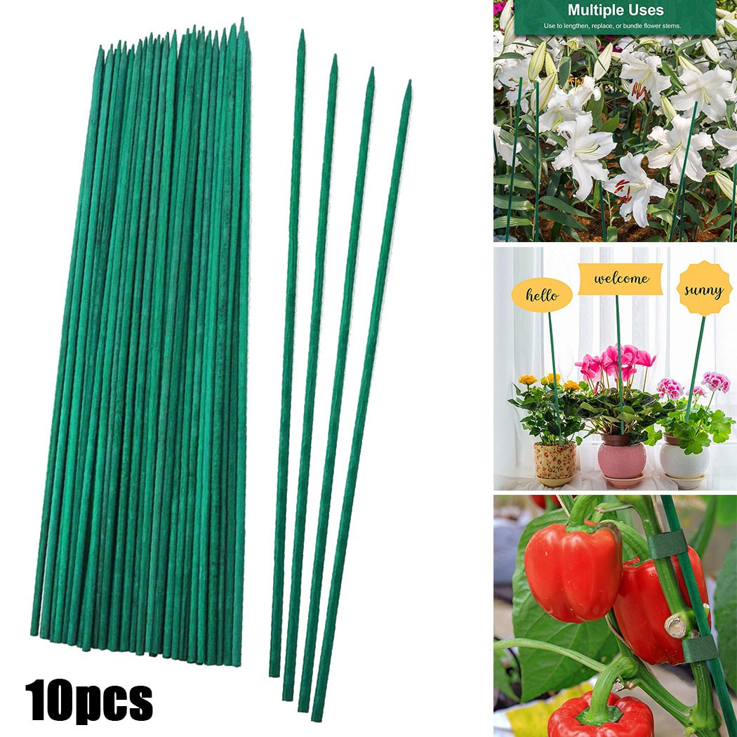 10pcs 40cm Green Plant Support - Florist Supp recension och pris