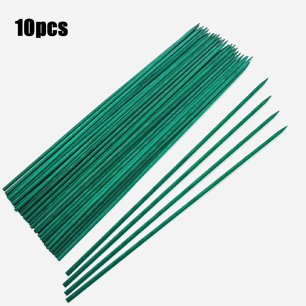 10pcs 40cm Green Plant Support - Florist Supp recension och pris