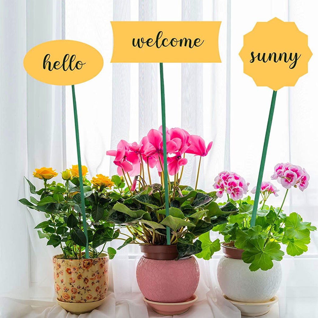 10pcs 40cm Green Plant Support - Florist Supp recension och pris