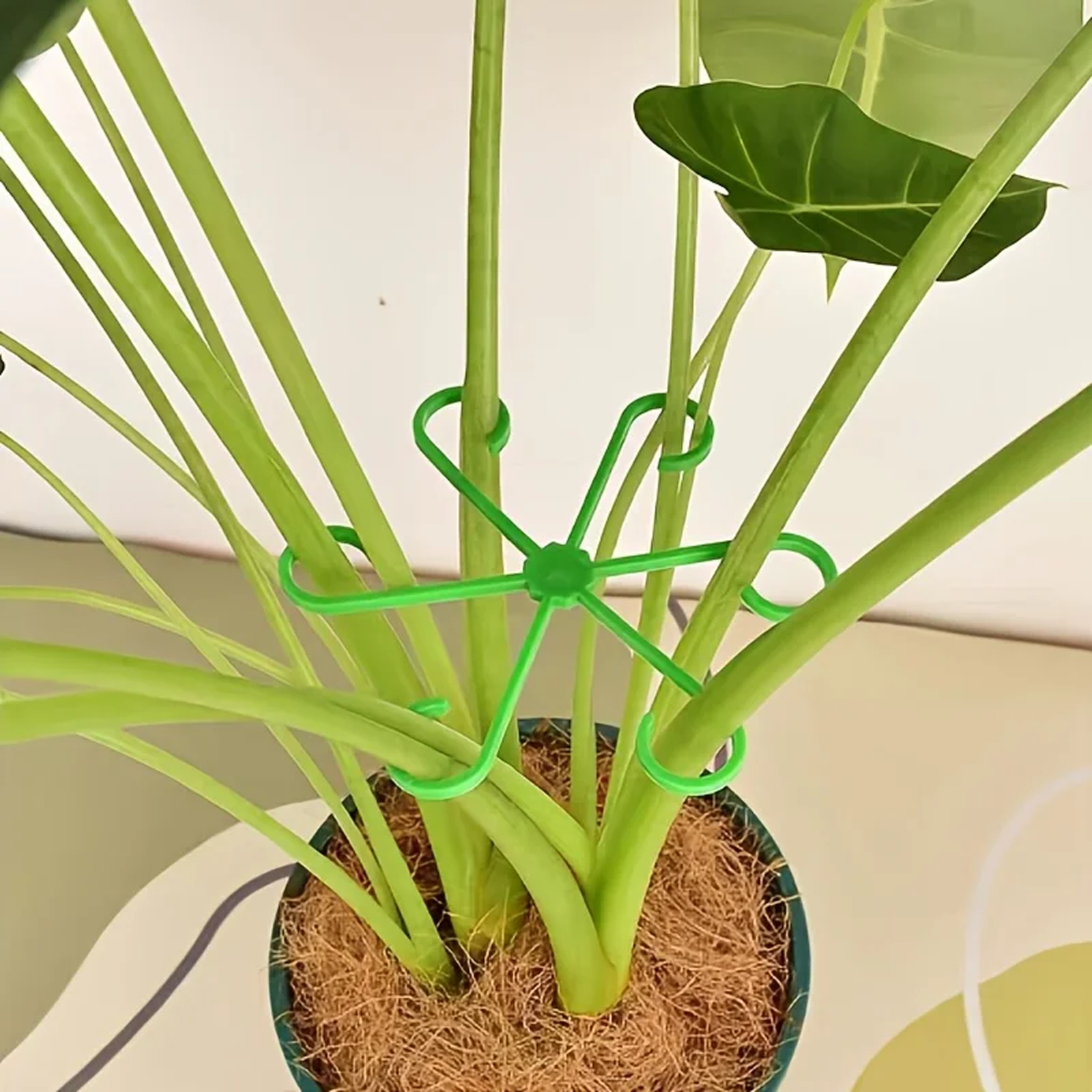 4pcs/set Plant Anti-Toppling S - Florist Supp recension och pris
