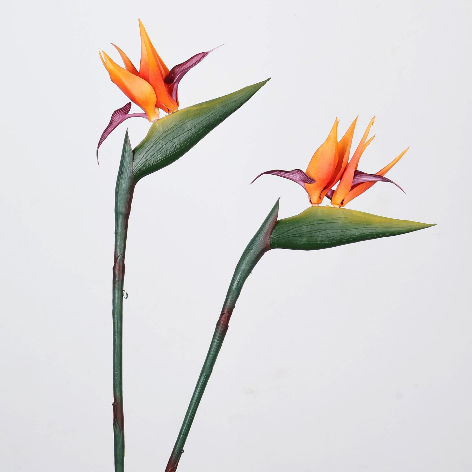 33 Inch Artificial Bird Of Par - Florist Supp recension och pris