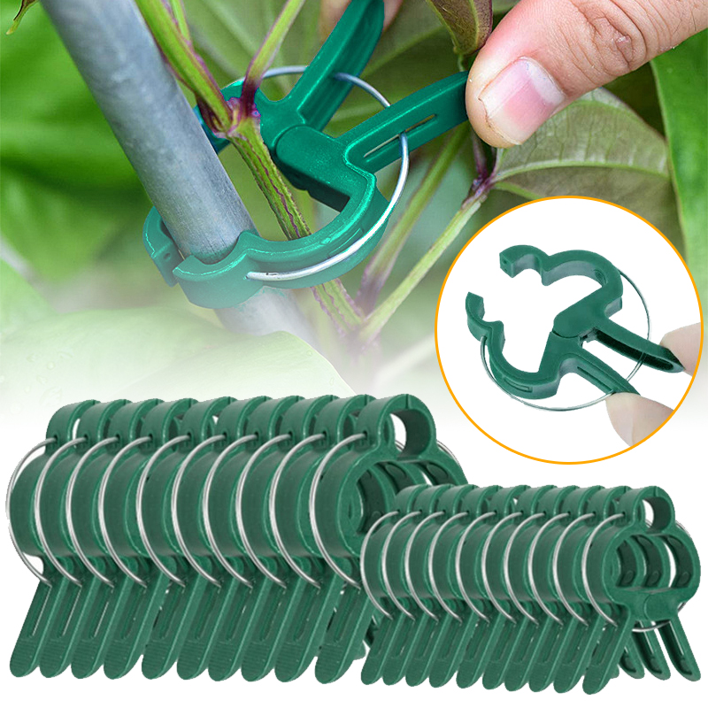 20Pcs Plant Fixed Clips Reusab - Florist Supp recension och pris
