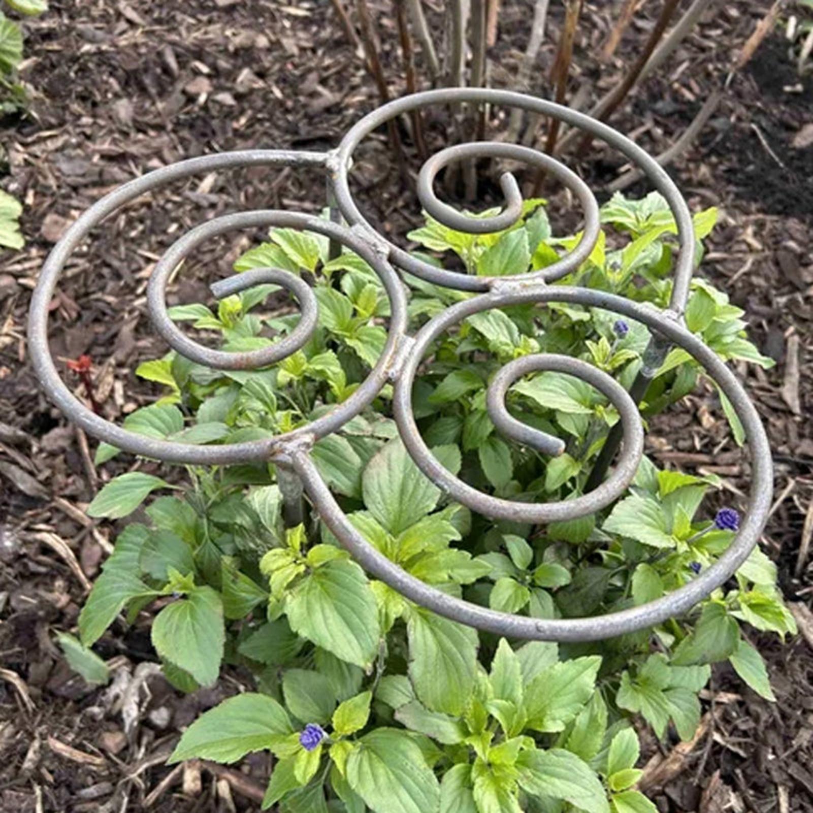 Peony Cage Heavy Duty Metal We - Florist Supp recension och pris