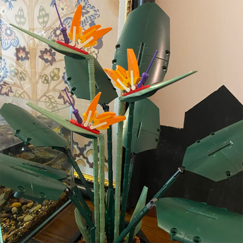 1378PCS Paradise Bird Potted P - Florist Supp recension och pris